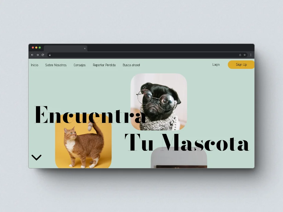 Encuentra a tu Mascota