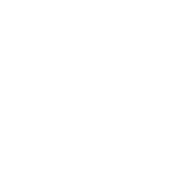 Rust